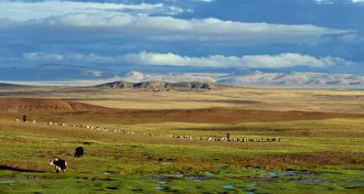 central Tibetan Plateau