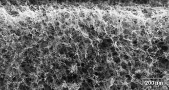 graphene-based foam