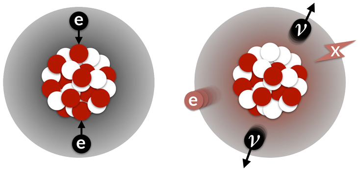 two-neutrino double electron capture