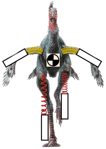 Caudipteryx