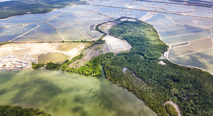 coastal shrimp farms
