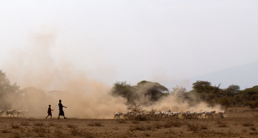modern African herders in Tanzania