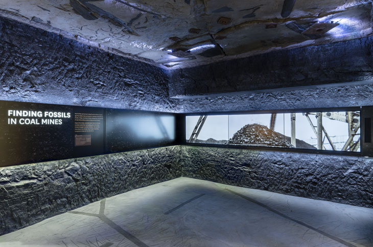 coal mine section in fossil hall