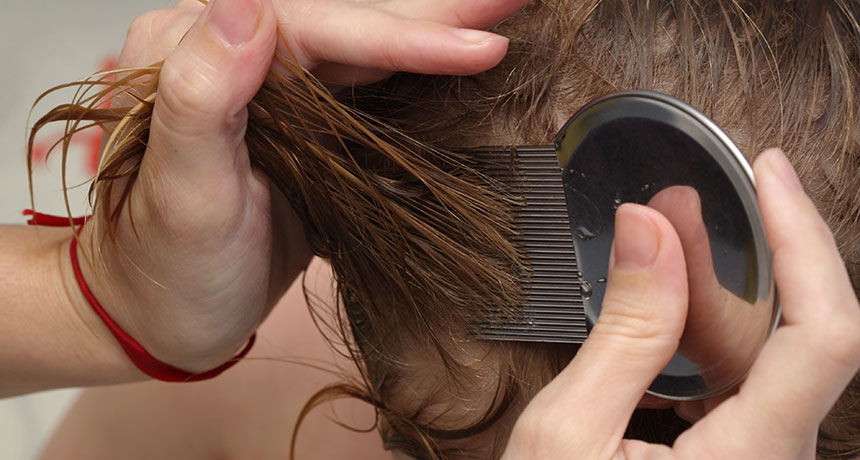 parent combing child's wet hair looking for lice and nits