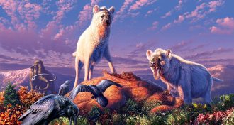 artist's rendering of Arctic hyenas