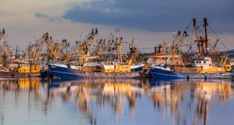 fishing boats