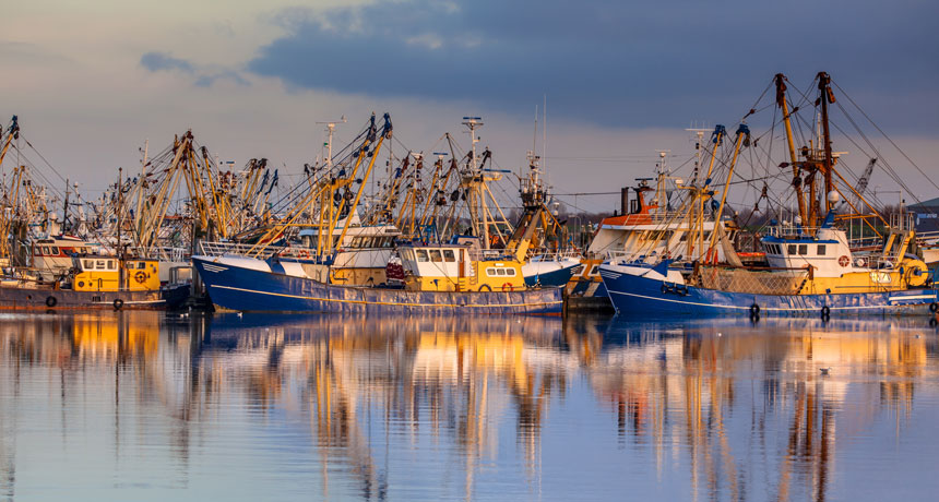 fishing boats