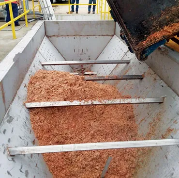 seafood shells being dryed