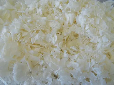 extracted chitosan