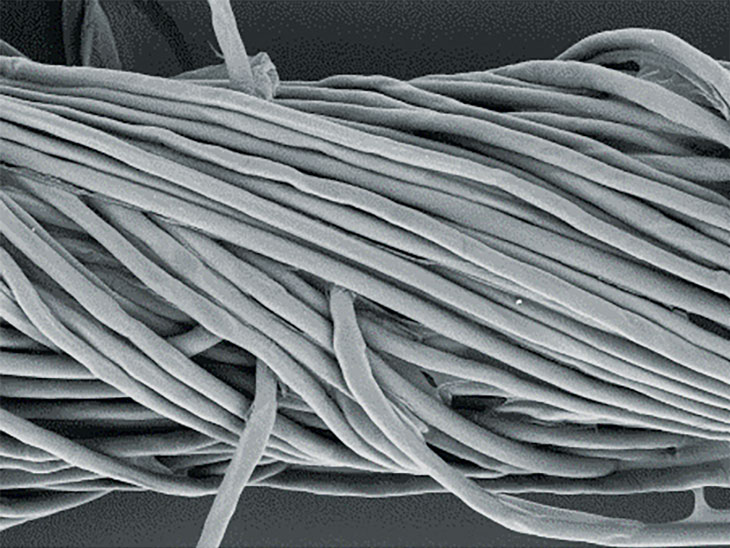 yarn coated in chitosan film