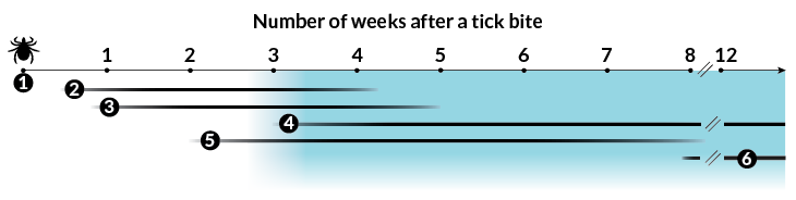 lyme disease testing