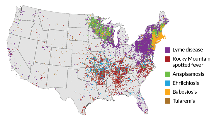 tick-borne disease map