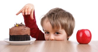 little kid choosing between cake or apple