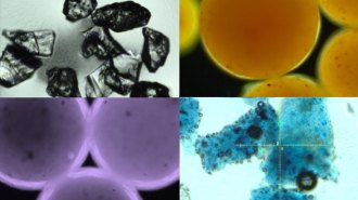 microplastic particles