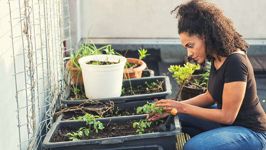 Plants don't have feelings and aren't conscious, a biologist argues