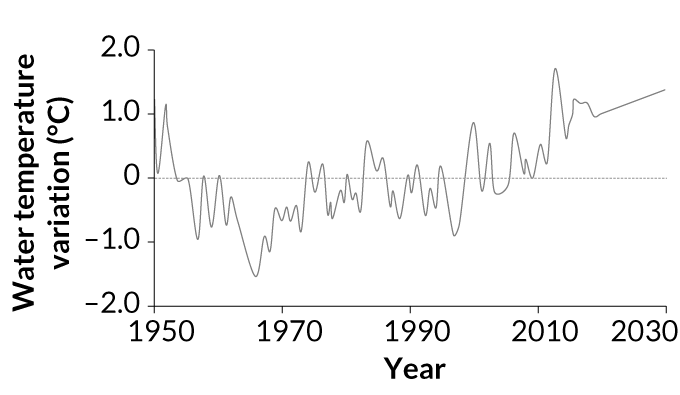 gulf of main temperature graph