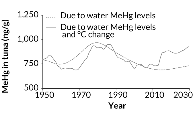 water mercury temperature graph