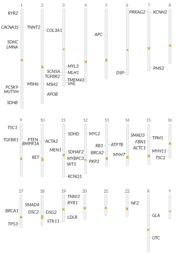 chromosome map