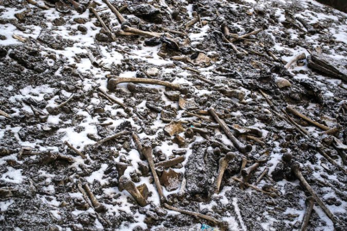 bones at Skeleton Lake