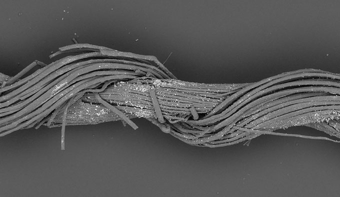 Ancient thread from Israel