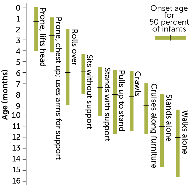 motor development chart