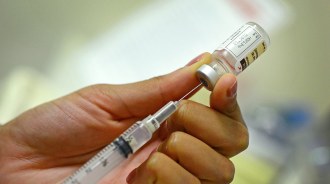 measles vaccine