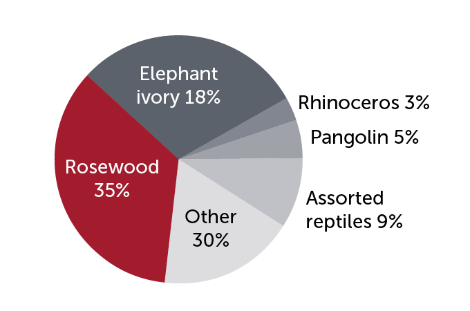wildlife product seizures