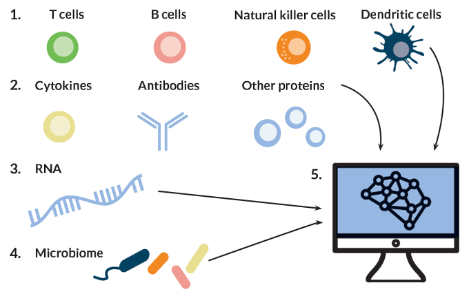 Systems approach graphic