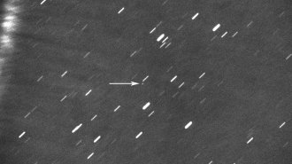 Asteroid 2020 AV2