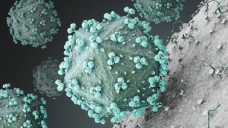 HIV virus particles
