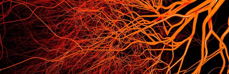 illustration of blood vessels