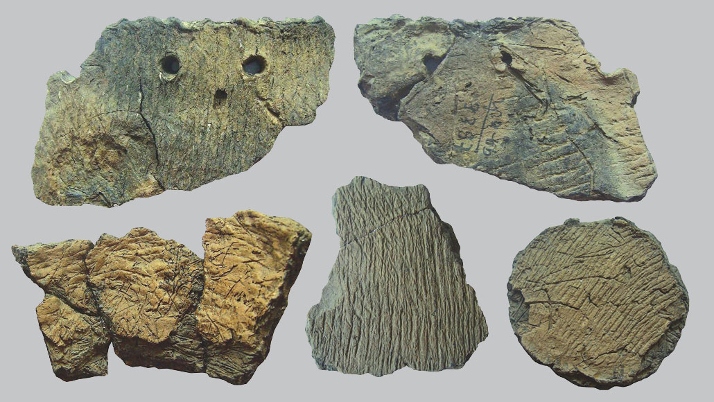 East asian cooking pot fragments