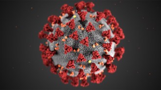 Coronavirus illustration
