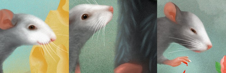 Mouse expression illustration