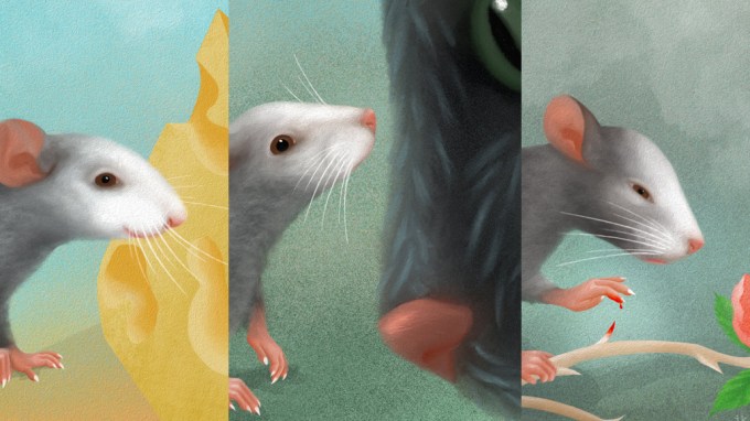 Mouse expression illustration