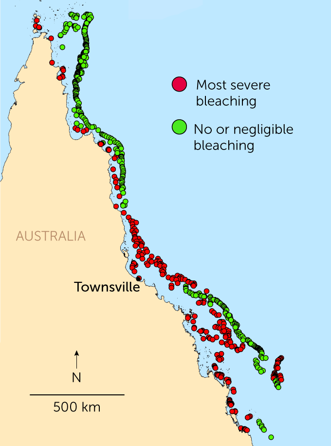 Map of bleaching observed on the Great Barrier Reef, 2020