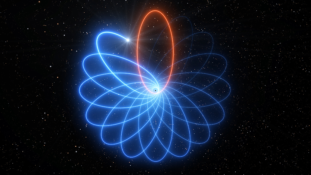 Star orbit around black hole