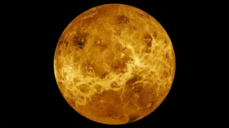 Venus