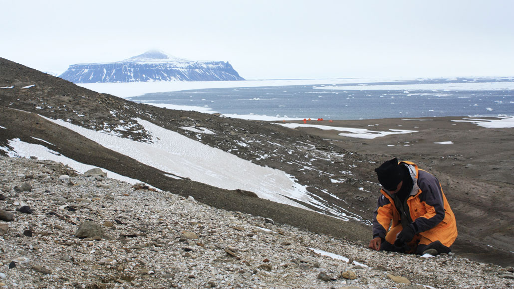 Seymour Island landscape