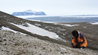 Seymour Island landscape