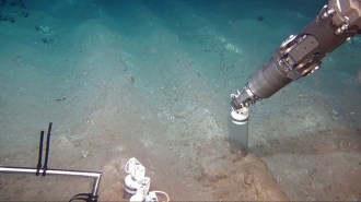 Sediment sample collection near Peru