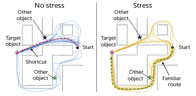 drawing of map of virtual town used in experiment