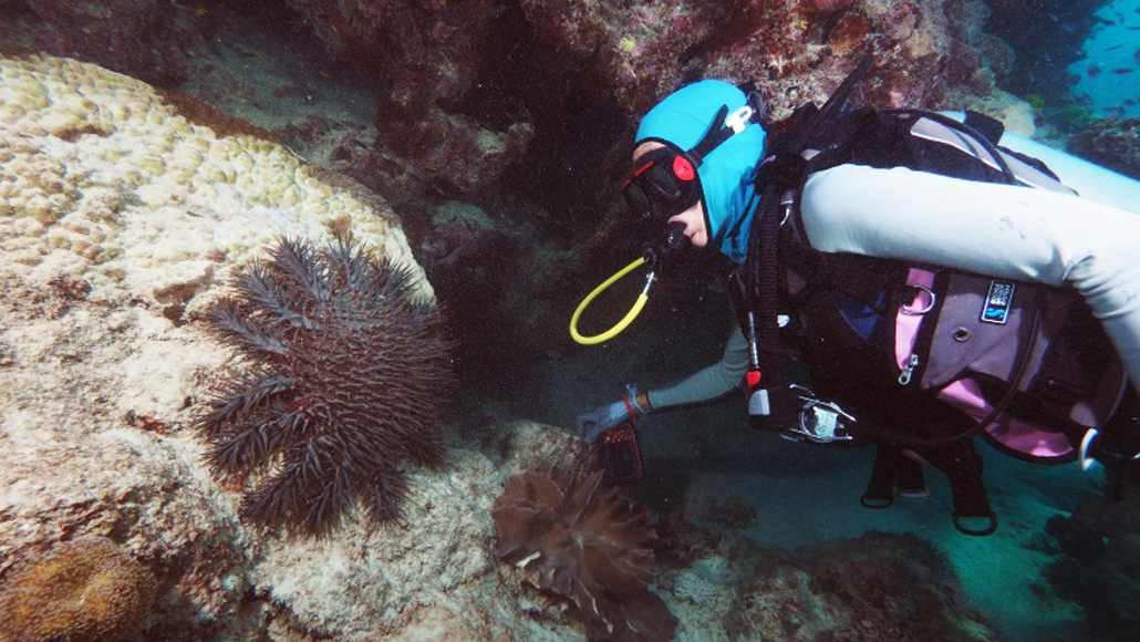 Frederieke Kroon diving