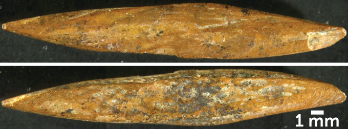 bone point from Sri Lanka