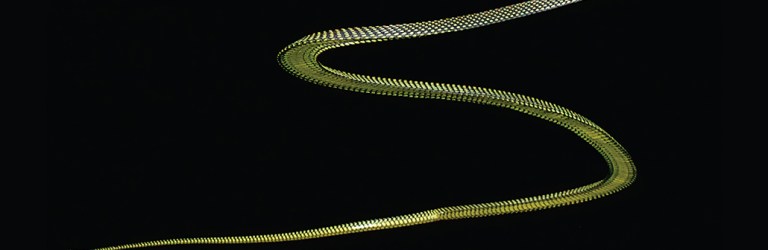 Paradise tree snake