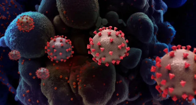 illustration of SARS-CoV-2; Credit: NIAID