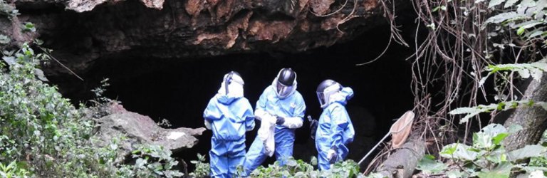Marburg cave in Uganda