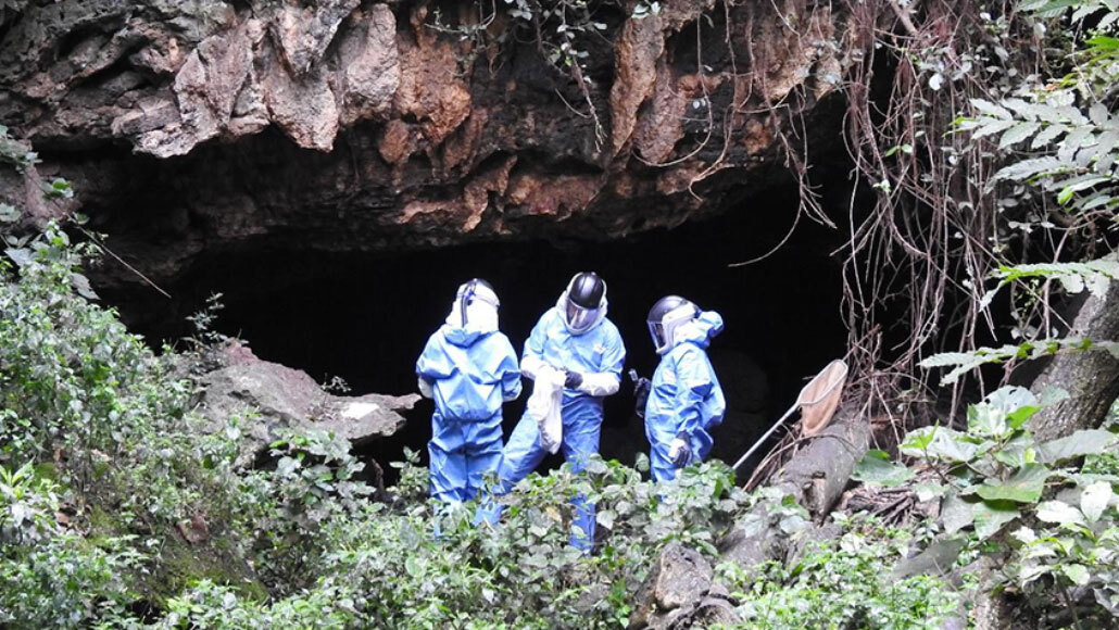 Marburg cave in Uganda