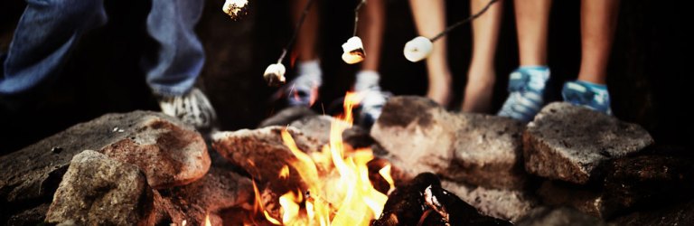 kids holding marshmallows over a campfire