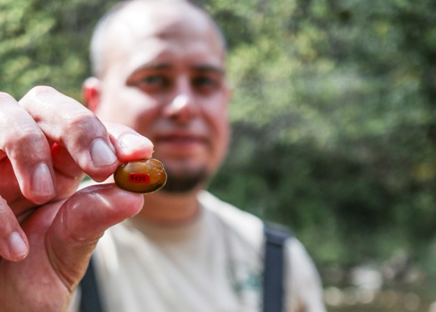 Tim Lane holding a mussel